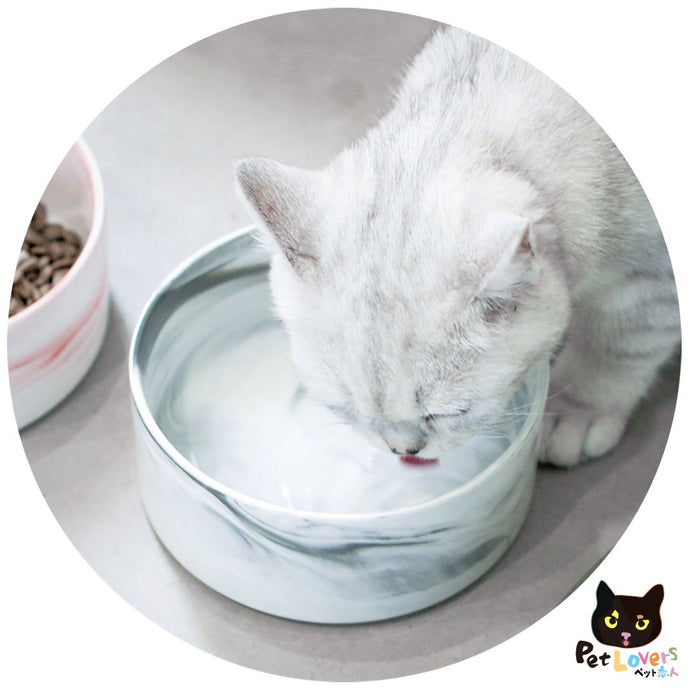 陶瓷貓碗寵物碗大理石紋水碗糧碗(灰色大理石紋連木架) - 黑貓雜貨 Petlovers